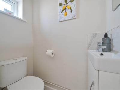 Picture 15
